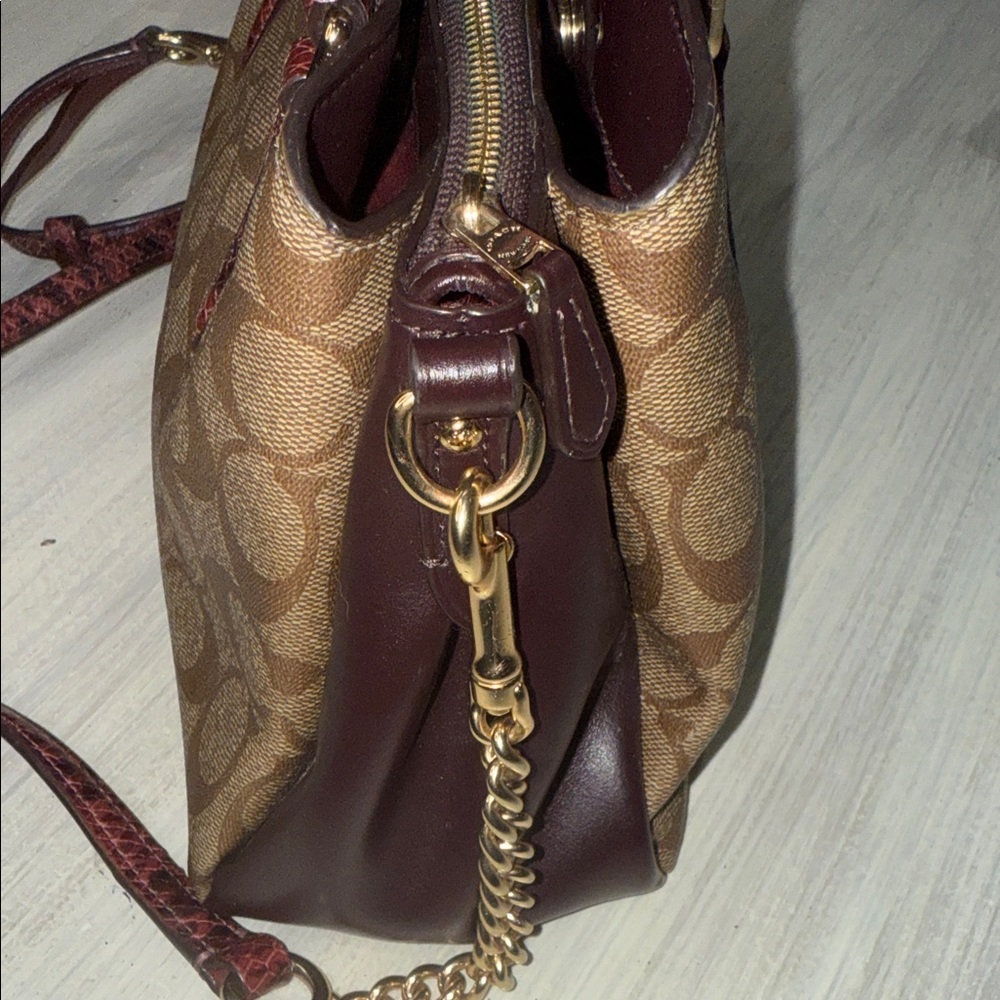 Coach Mini Rowan Sage Snake Carryall Satchel/Crossbody Bag π - Picture 10 of 14